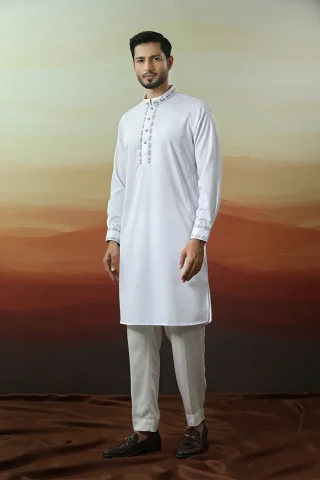 Embroidery Design Solid Panjabi