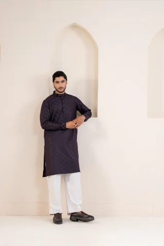 Traditional Embroidery Design Platinum Panjabi